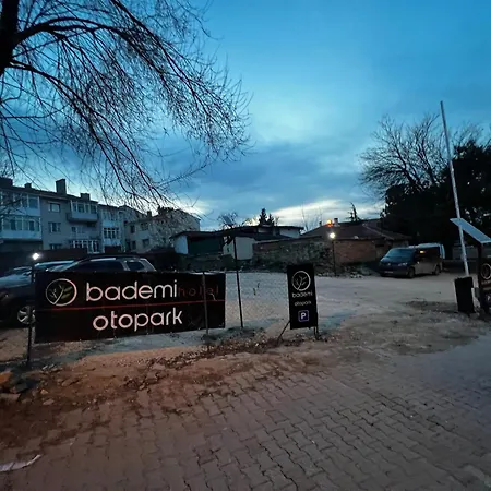 Bademi *
